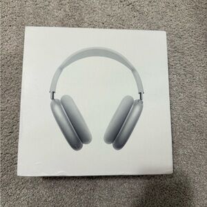 Airpods Max Headphones in Metallic Gray